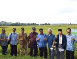 Ini Gambaran dan Potensi Pertanian di Kabupaten Blitar