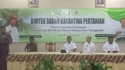 Dinas Pertanian Dorong Akselerasi Ekspor Kelapa Trenggalek